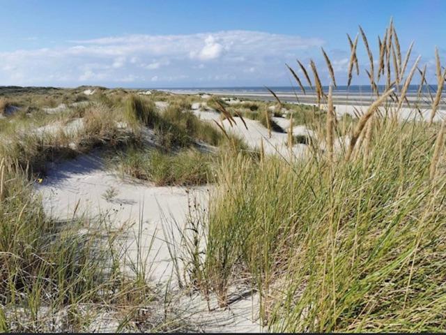 Seeblick Lachmoewe, Exklusive Lage In Strandnaehe Wangerooge Exterior foto